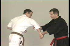 Kyusho Jitsu Points on the Arms DVD with Evan Pantazi - Budovideos Inc