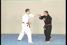 Kyusho Jitsu Points on the Arms DVD with Evan Pantazi - Budovideos Inc