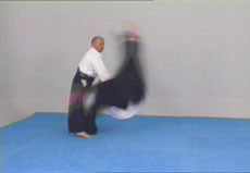 Very Strong Aikido DVD with Jacek Wysocki - Budovideos Inc