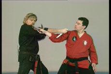 Extreme Kenpo DVD with Larry Tatum - Budovideos Inc