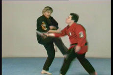 Extreme Kenpo DVD with Larry Tatum - Budovideos Inc