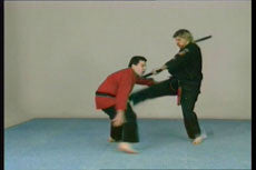 Extreme Kenpo DVD with Larry Tatum - Budovideos Inc