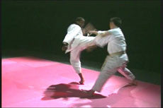 Winning Competition Karate DVD 2: Counterattacks with Yukiyoshi Marutani - Budovideos Inc