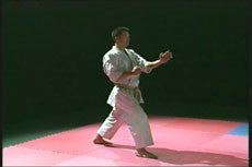 Winning Competition Karate DVD 2: Counterattacks with Yukiyoshi Marutani - Budovideos Inc