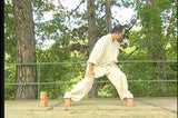 Tai Chi Pushing Hands DVD 1 with Dr Yang, Jwing Ming - Budovideos Inc