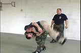Wrestling: Systema Fundamentals DVD with Mikhail Ryabko - Budovideos Inc