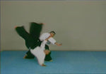 Aikido Kisei Dojo DVD with Antonio & Marcos Pena - Budovideos Inc
