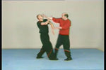 Wing Tsun Alliance DVD - Budovideos Inc