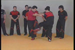 Wing Tsun Re-Evolution Vol 1 DVD with Victor Gutierrez - Budovideos Inc
