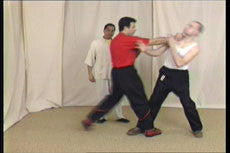 Wing Tsun Right or Wrong? DVD by Leung Ting - Budovideos Inc