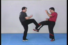 Wing Tsun Chi Sao 1 DVD with Victor Gutierriez - Budovideos Inc
