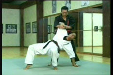 Shoryn Ryu Tai Jitsu DVD with Christian Harfouche - Budovideos Inc