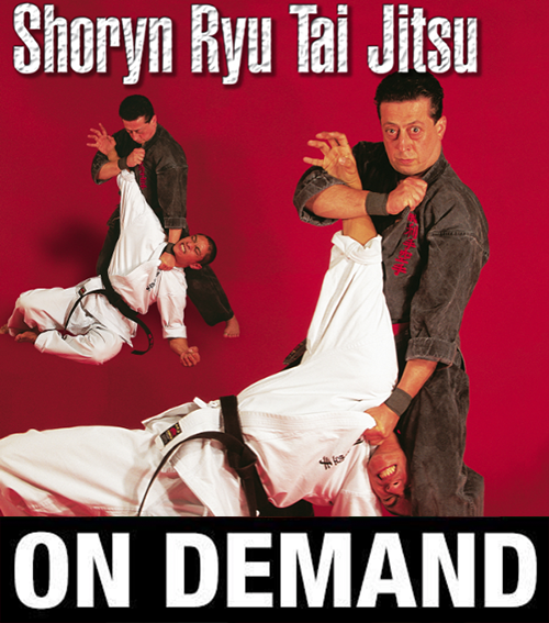 Shoryn Ryu Tai Jitsu with Christian Harfouche (On Demand) - Budovideos Inc