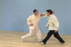 Tai Chi Fighting Set DVD with Dr Yang, Jwing Ming - Budovideos Inc
