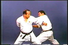 Shotokan Kata Series Vol 1 DVD by Masataoshi Nayama - Budovideos Inc