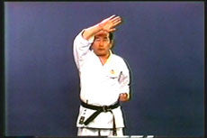 Shotokan Kata Series Vol 1 DVD by Masataoshi Nayama - Budovideos Inc