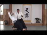Aikido by Kenji Shimizu DVD - Budovideos Inc