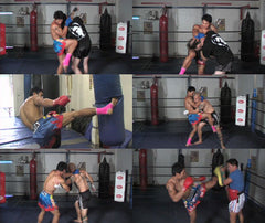 Muay Thai Clinch DVD with Malaipet - Budovideos Inc