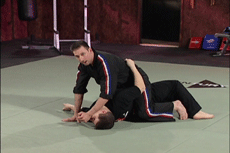 Authentic Pressure Points DVD 5:  Grappling by Scott Rogers - Budovideos Inc