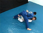 Amazing BJJ Techniques Vol 2 DVD with Mitsuyoshi Hayakawa - Budovideos Inc