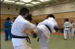 Hokuto-Ki 3rd World Kudo 2009 Championships DVD - Budovideos Inc