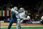 Hokuto-Ki 3rd World Kudo 2009 Championships DVD - Budovideos Inc