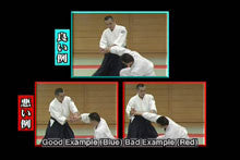 Aikido Renshinkai 1st Step DVD with Tsutomu Chida - Budovideos Inc