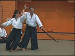 10th International Aikido Taikai DVD 1 with Hiroshi Tada - Budovideos Inc
