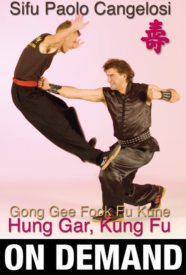 Hung Gar Gong Gee Fook Fu Kune vol 1 with Paolo Cangelosi (On Demand) - Budovideos Inc