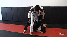 My Favorite Gi Techniques by Jeff Glover (On Demand) - Budovideos Inc