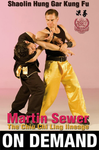 Shaolin Hung Gar Kung Fu with Martin Sewer (On Demand) - Budovideos Inc
