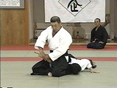 Daito Ryu Aikijujutsu: Ikkajo Ura Techniques DVD 1 - Budovideos Inc