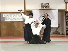 Daito Ryu Aikijujutsu: Ikkajo Ura Techniques DVD 1 - Budovideos Inc