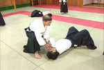 Daito Ryu Aikijujutsu: Ikkajo Ura Techniques DVD 2 - Budovideos Inc