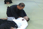 Daito Ryu Aikijujutsu: Nikajo Ura Techniques DVD 1 - Budovideos Inc