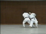 Shoot Aikido: Real Techniques DVD 2 by Fumio Sakurai - Budovideos Inc