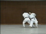Shoot Aikido: Real Techniques DVD 2 by Fumio Sakurai - Budovideos Inc