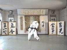 Yoseikan Sogo Budo by Minoru Mochizuki DVD 1 - Budovideos Inc