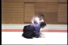 Tetsuzan Kuroda 6: Koden Bujutsu Gokui Shinan Series 6 DVD - Budovideos Inc