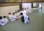 Advanced Level Aikido DVD by Tsuneo Ando - Budovideos Inc