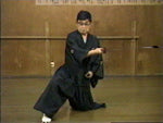 Hokushin Itto Ryu Kenjutsu DVD by Shigejiro Konishi - Budovideos Inc