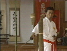 Shinken Toho DVD by Kunishiro Hayashi - Budovideos Inc