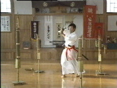 Shinken Toho DVD by Kunishiro Hayashi - Budovideos Inc