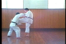 Secrets of Okinawan Goju Ryu Karate DVD with Morio Higaonna - Budovideos Inc