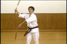 Actual Fighting: Nunchaku Techniques DVD by Kazumasa Yokoyama - Budovideos Inc
