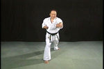 Shukikai Karate DVD with Nariharu Kuramoto - Budovideos Inc