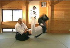 Aikido by Yasuo Kobayashi DVD Vol 1 - Budovideos Inc