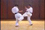 Shintaiiku-do Karate DVD 1 by Makoto Hirohara - Budovideos Inc