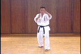 Shintaiiku-do Karate DVD 1 by Makoto Hirohara - Budovideos Inc