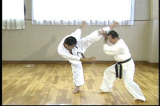 Shintaiiku-do Karate DVD 2 by Makoto Hirohara - Budovideos Inc
